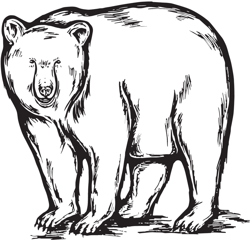 The Black Bear logo