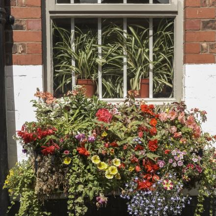 Flowers at The Black Bear